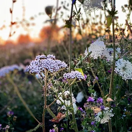 Prázdninový dům Family-friendly Oasis With Sea View In Funen Nyborg