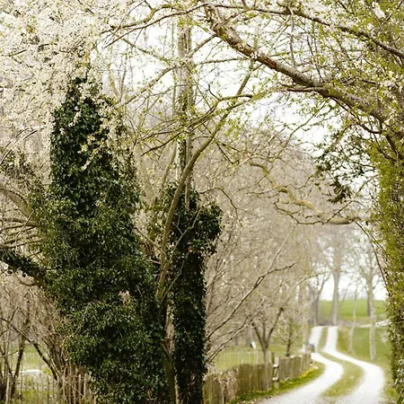 Family-friendly Oasis With Sea View In Funen * Nyborg