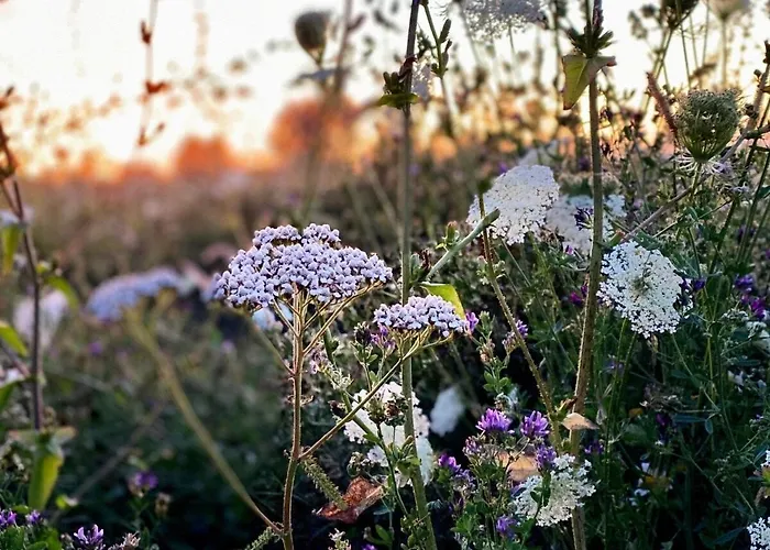 Prázdninový dům Family-friendly Oasis With Sea View In Funen Nyborg