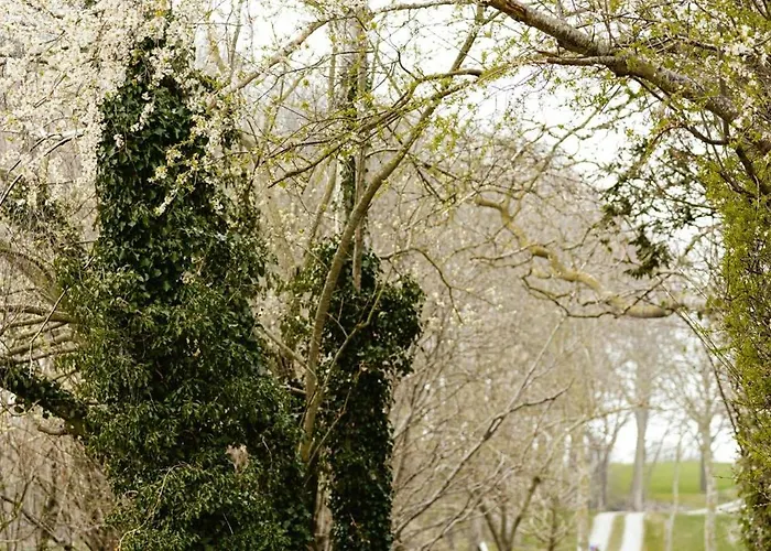 Family-friendly Oasis With Sea View In Funen * Nyborg